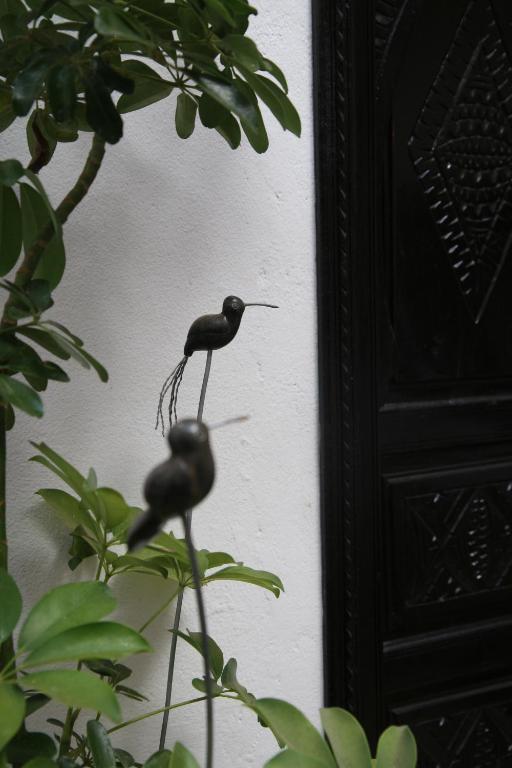 Riad Dar Zampa Marrakesh Exterior foto